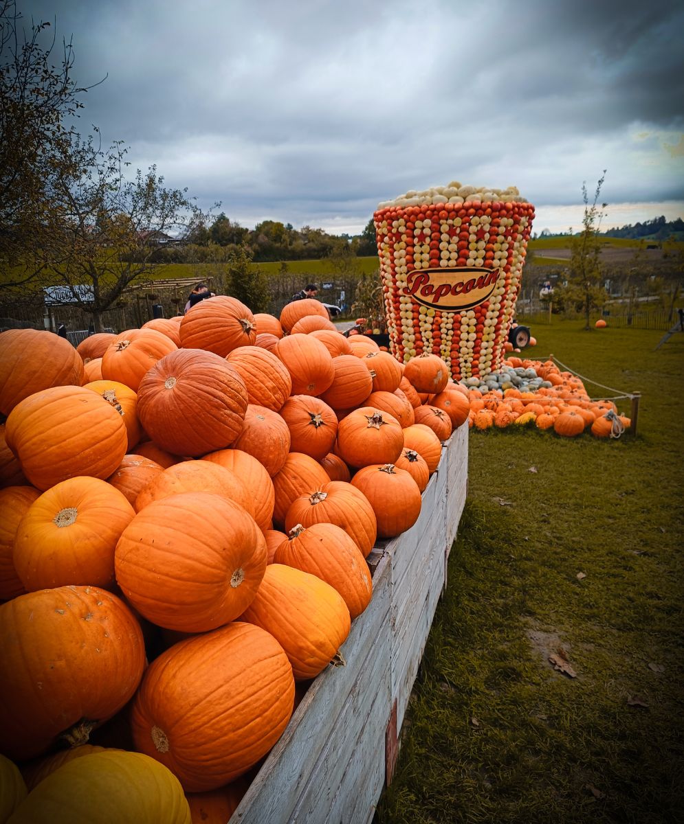 Statues courges